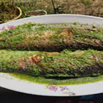 Trout In Kindzmari